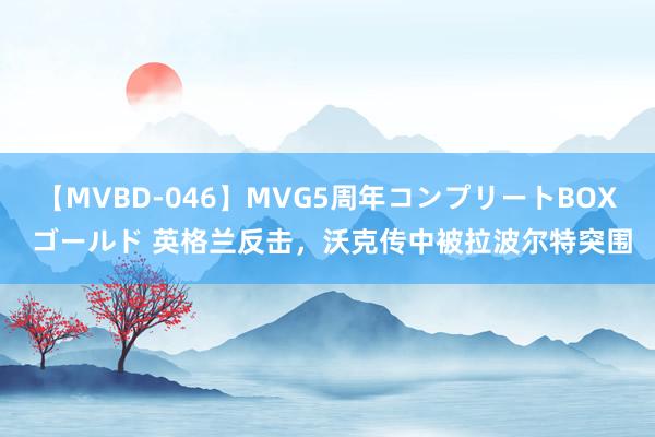 【MVBD-046】MVG5周年コンプリートBOX ゴールド 英格兰反击,沃克传中被拉波尔特突围