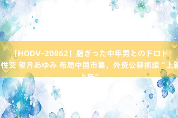 【HODV-20862】脂ぎった中年男とのドロドロ性交 望月あゆみ 布局中国市集,外资公募抓续“上新”