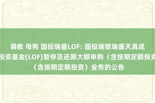 调教 母狗 国投瑞盛LOF: 国投瑞银瑞盛天真成立羼杂型证券投资基金(LOF)暂停及还原大额申购(含按期定额投资)业务的公告