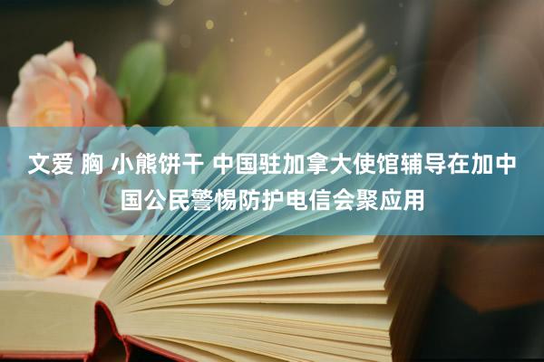 文爱 胸 小熊饼干 中国驻加拿大使馆辅导在加中国公民警惕防护电信会聚应用
