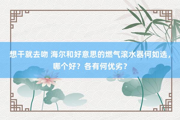 想干就去吻 海尔和好意思的燃气滚水器何如选，哪个好？各有何优劣？