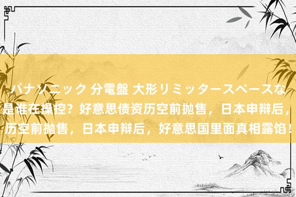 パナソニック 分電盤 大形リミッタースペースなし 露出・半埋込両用形 是谁在操控？好意思债资历空前抛售，日本申辩后，好意思国里面真相露馅！