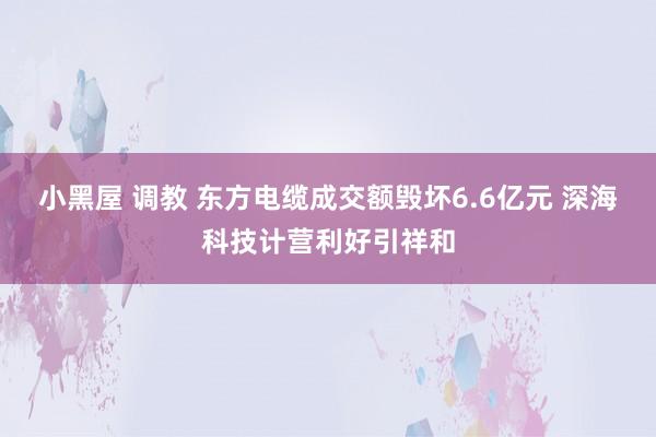 小黑屋 调教 东方电缆成交额毁坏6.6亿元 深海科技计营利好引祥和